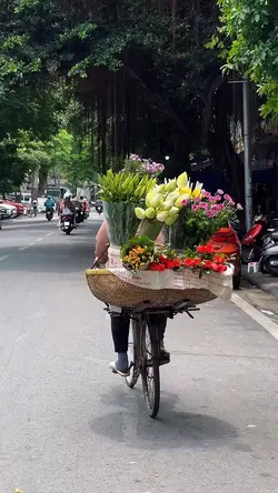 mini vlog aesthetic 