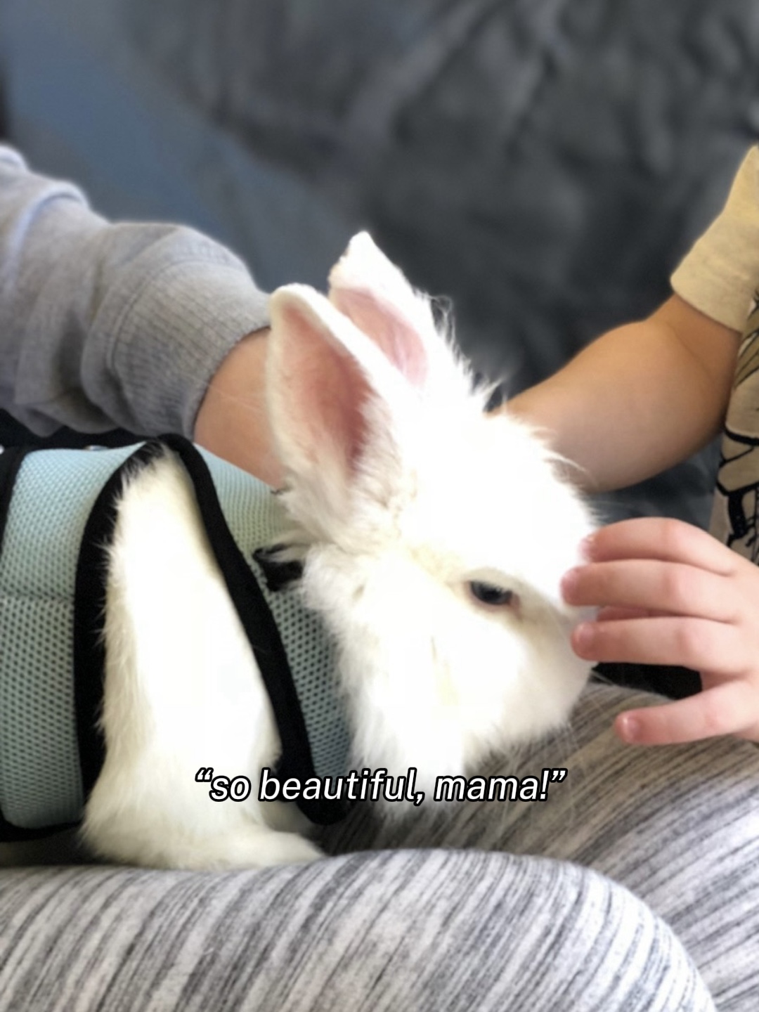 tu me manques Leo