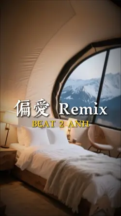 偏愛 Remix