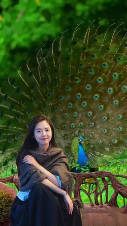Beautiful peacock