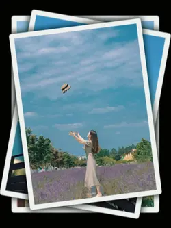 9Pic Clip Transition