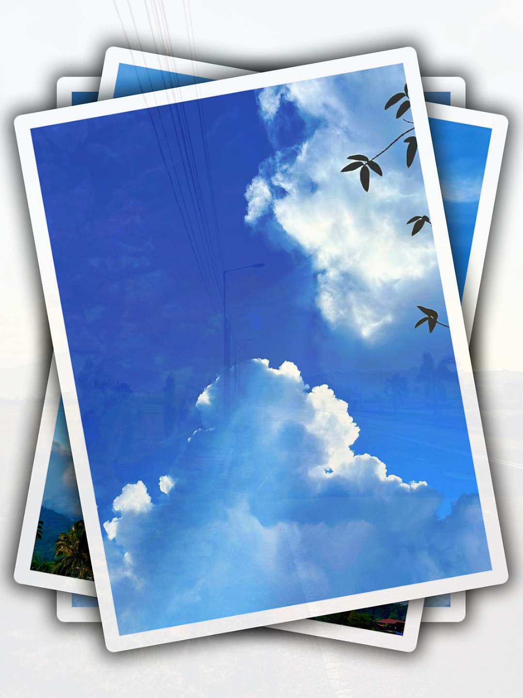8Pic Aesthetic Frame