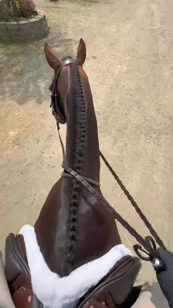 not real! dangerous!