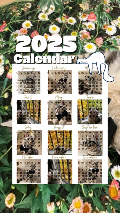 2025 Kedi takvimi