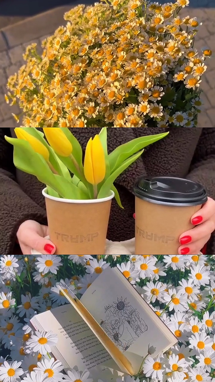 Collages de primavera 3 