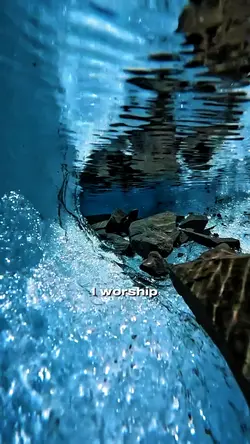 I WORSHIP YOU