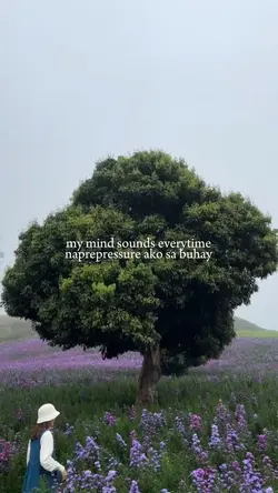 my mind sound