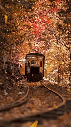 🛵SUGIちゃんネル🛵