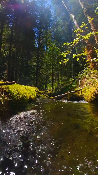 Naturaleza