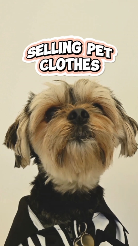 Fun Pet Clothing Display TikTok Style