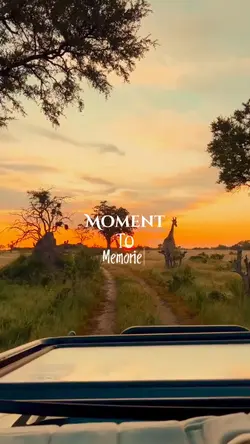 Momen To Memories