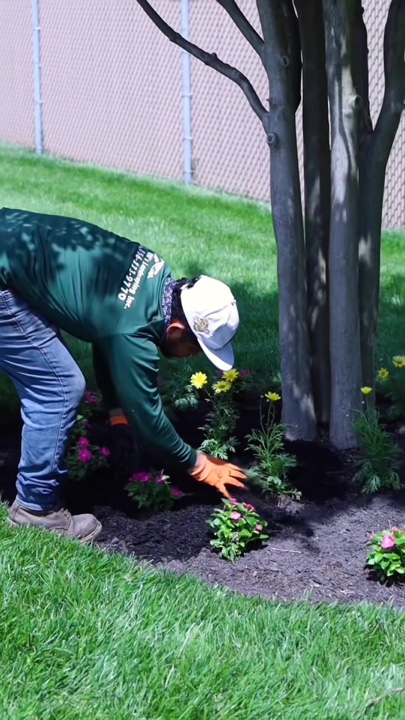 Gardening
