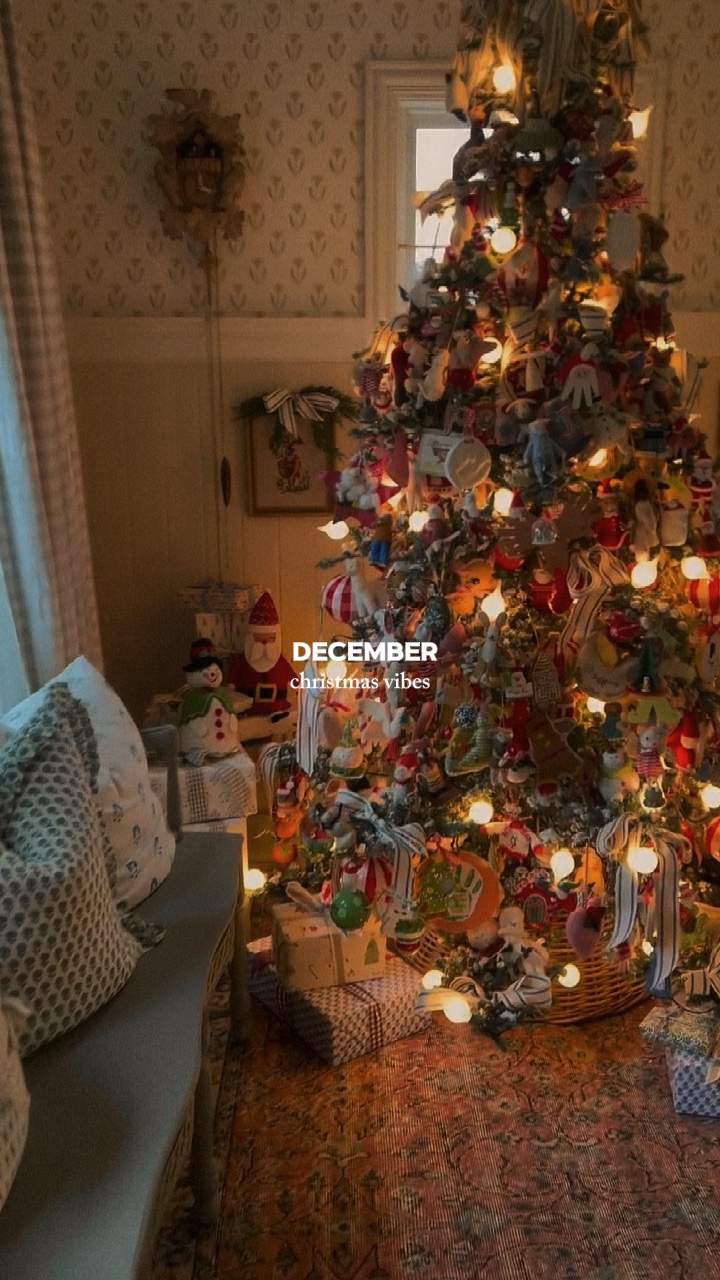 1 영상/사진🎄🎅🏼 