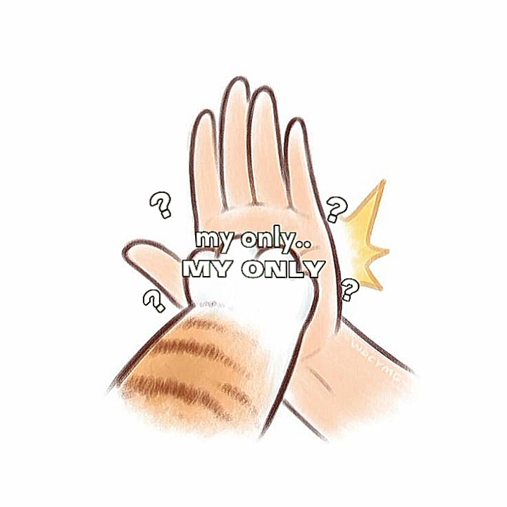 MY ONLY LOVE