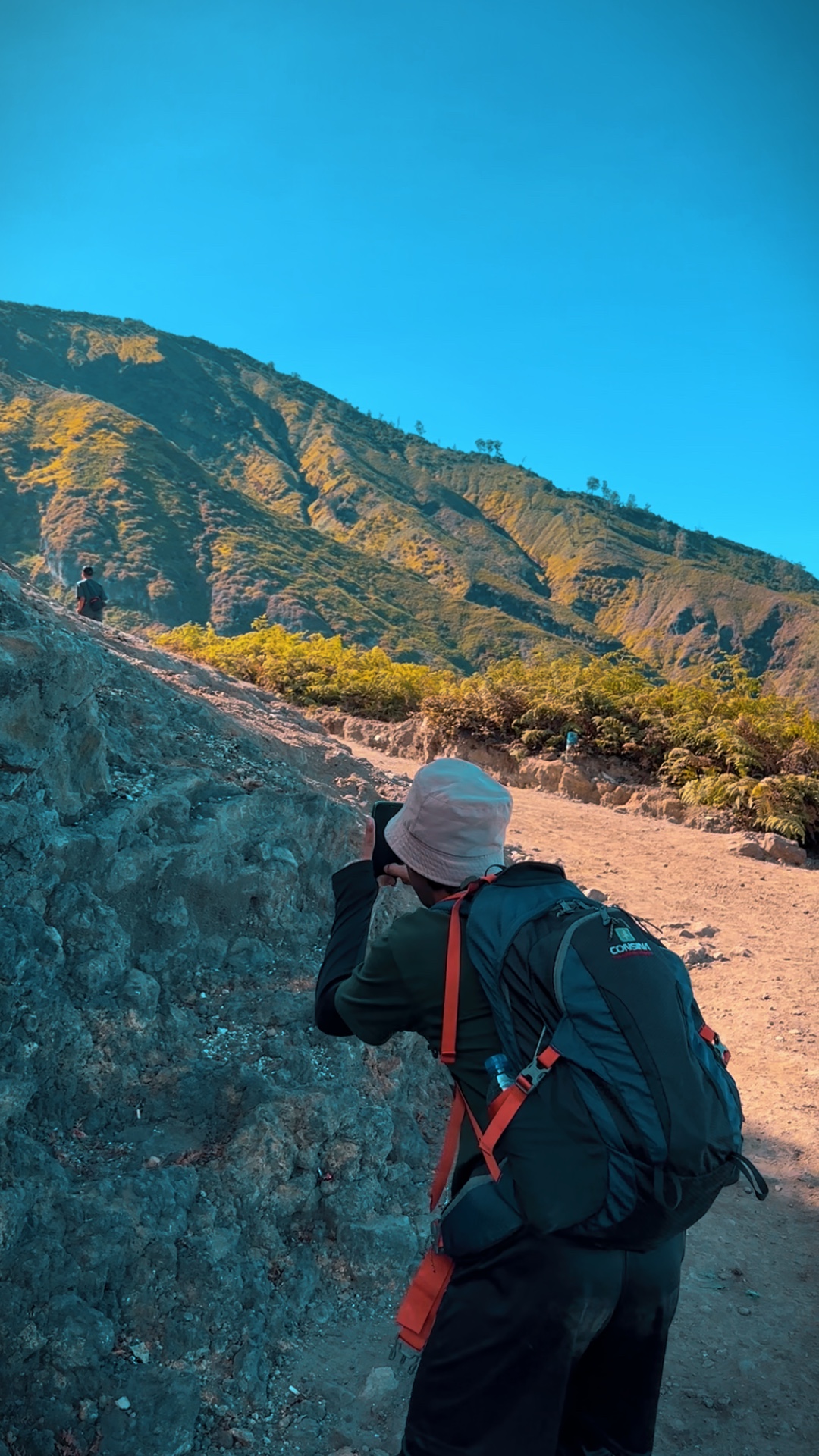 Cover Picture