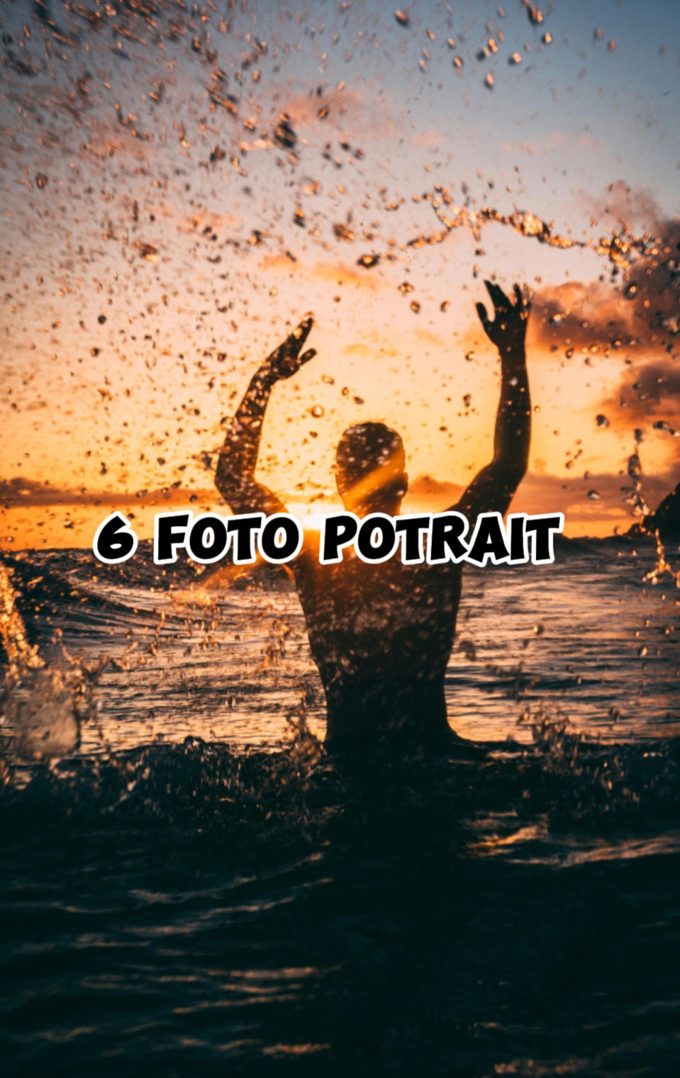 6 foto potre 