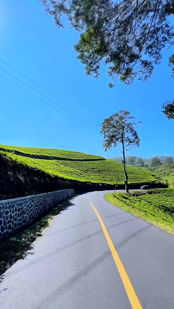 3 video filter HD 