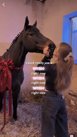 wish