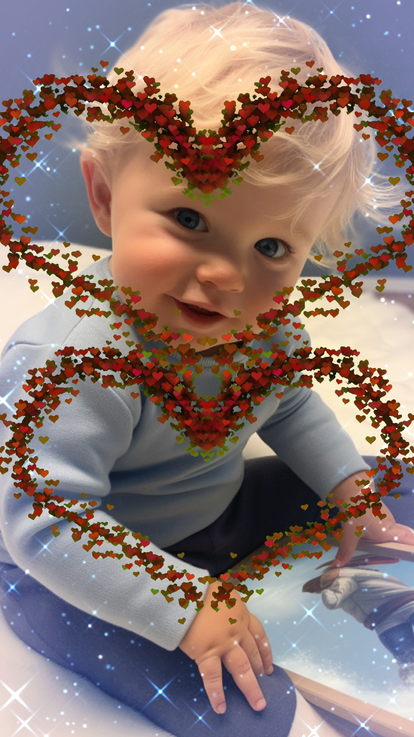 Cover Picture