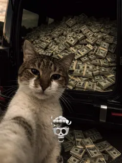 Only money 