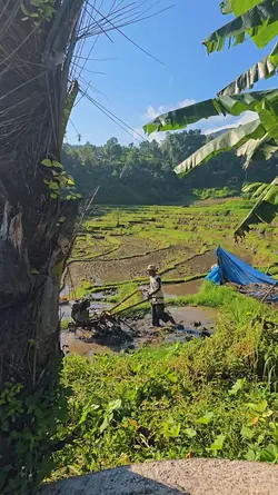 Bahan storimu