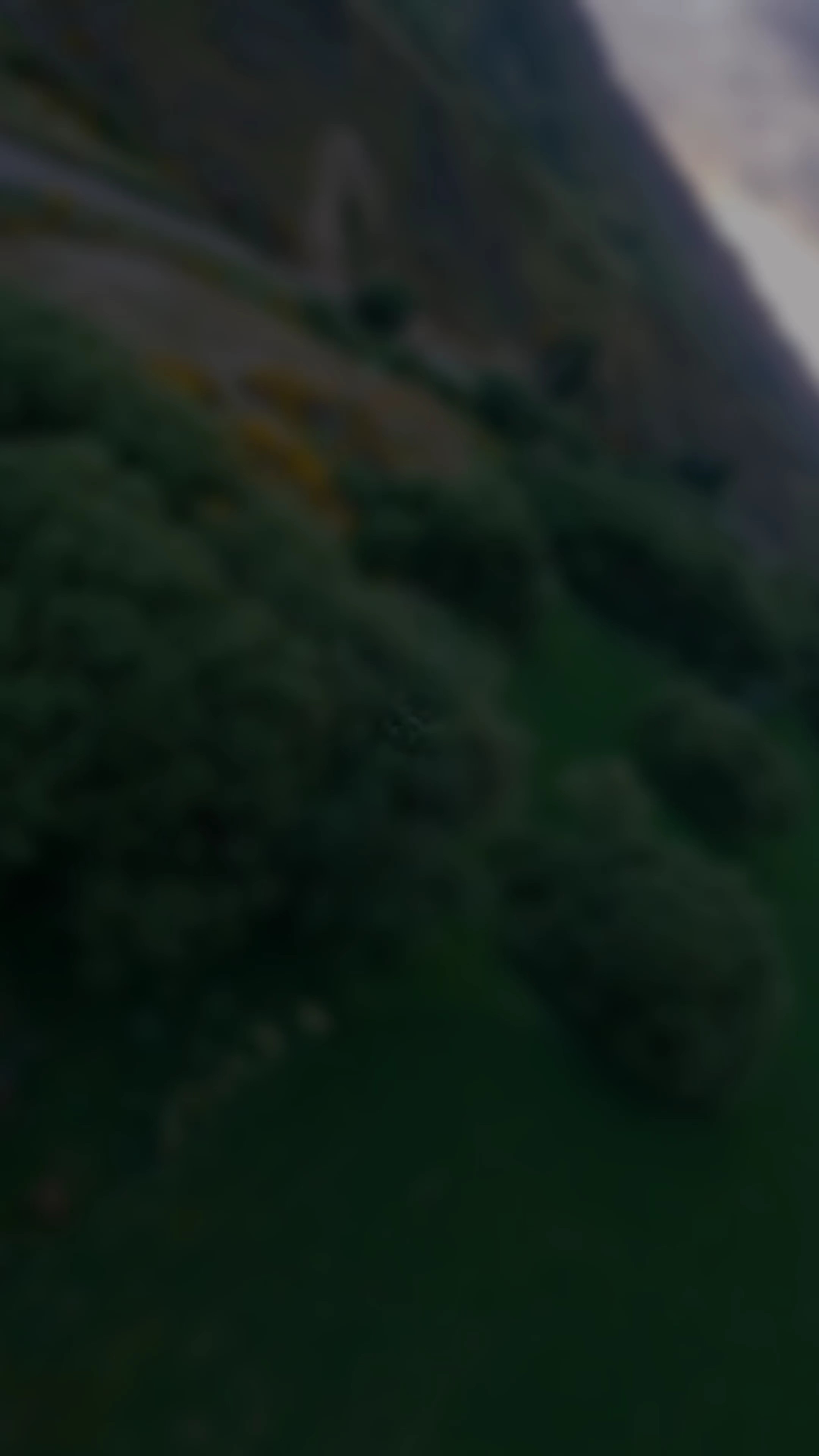 حبيتك انتي صغيوره 