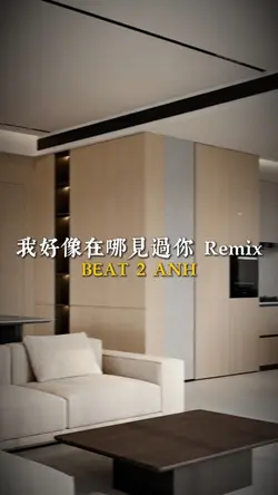 我好像在哪見過你 Remix