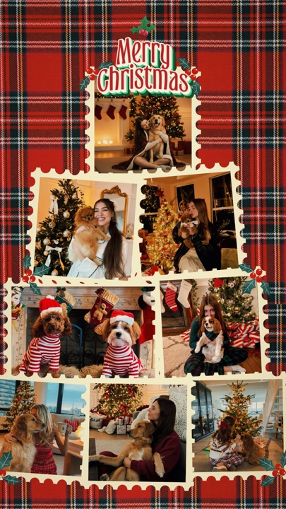 Weihnachten mit Hund