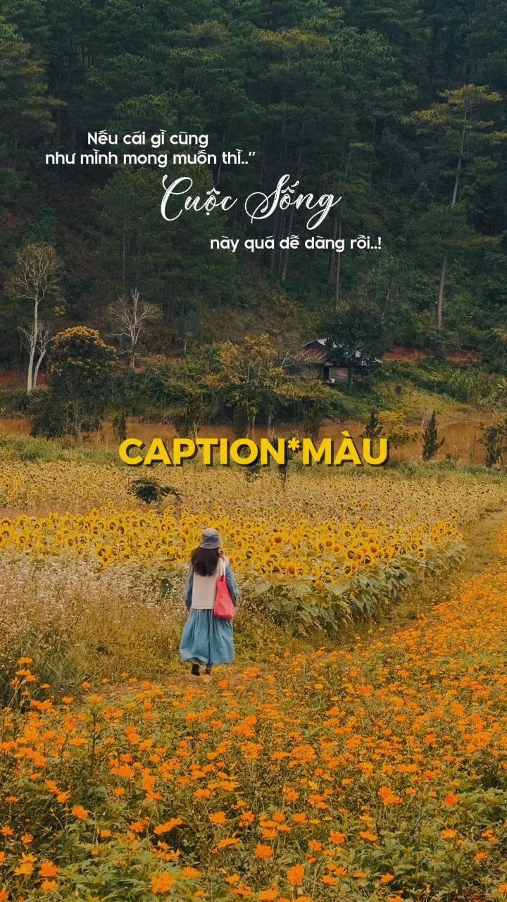 Caption Tâm Trạng.~