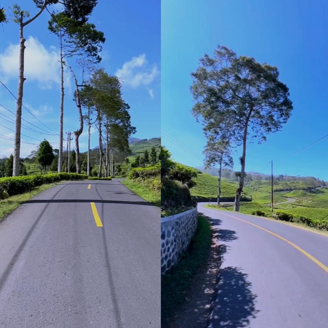 2 video 1 frame