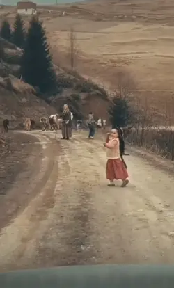 Dayıkamın