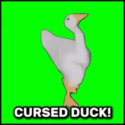 Cursed Duck 
