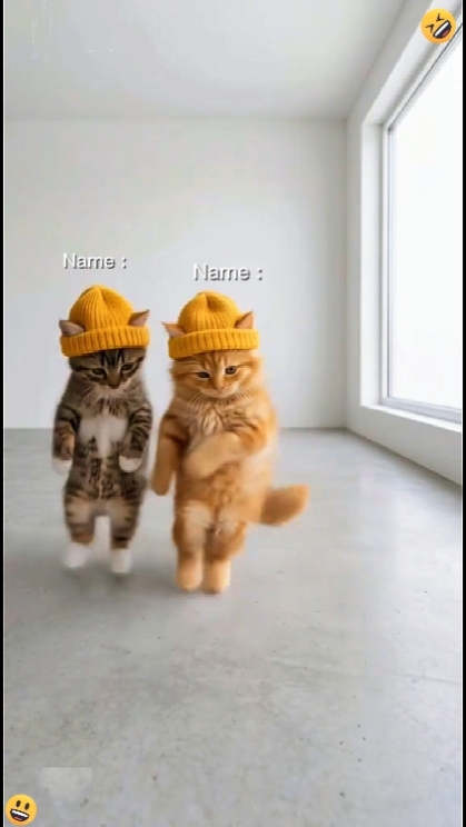 Kucing menari