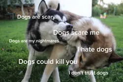 🗣️: Dogs are scary