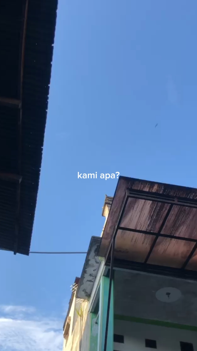 Sedia Apa?
