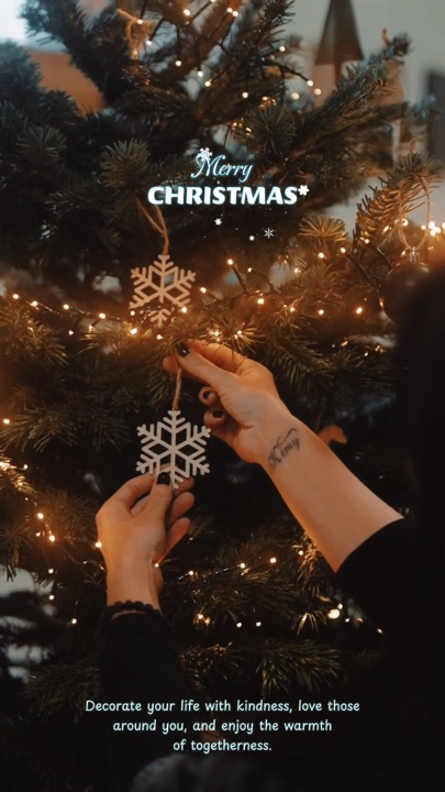 Navidad ✨ 