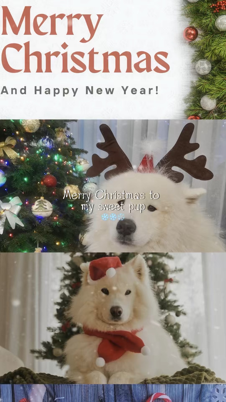 Feliz Natal, cachorro