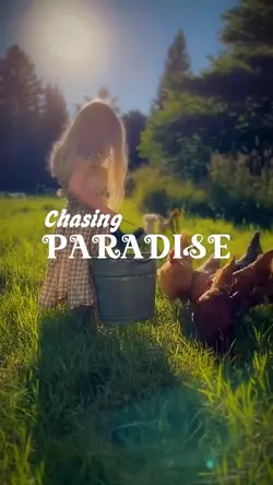 Chasing paradise