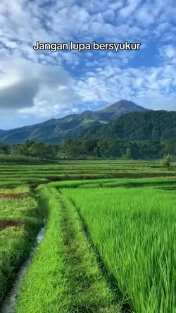 Bahan sw