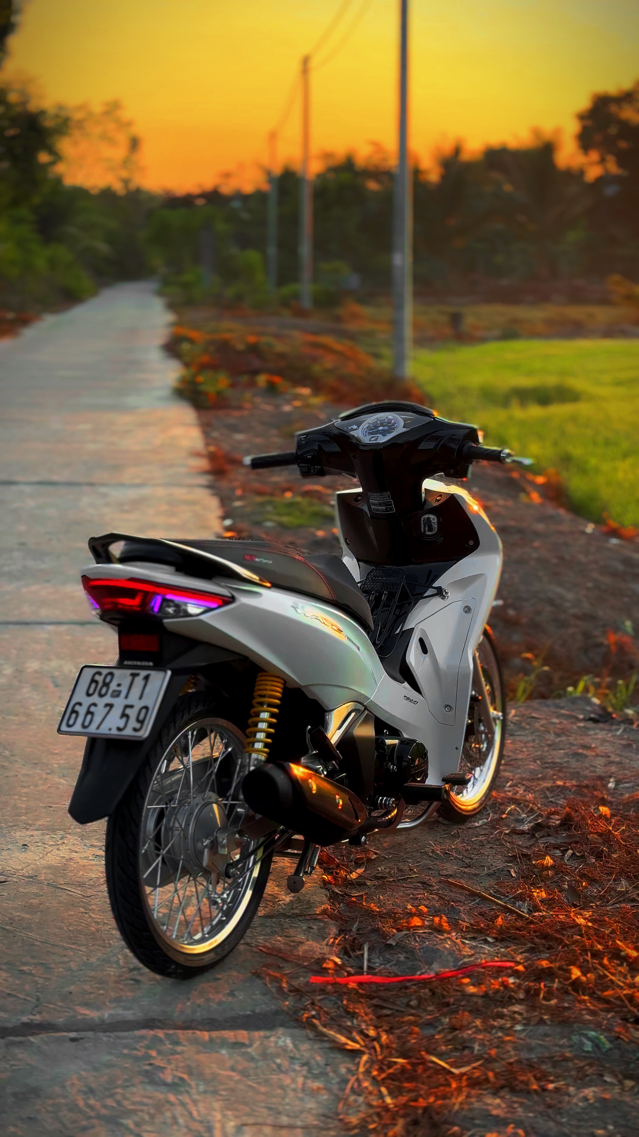 Cover Picture