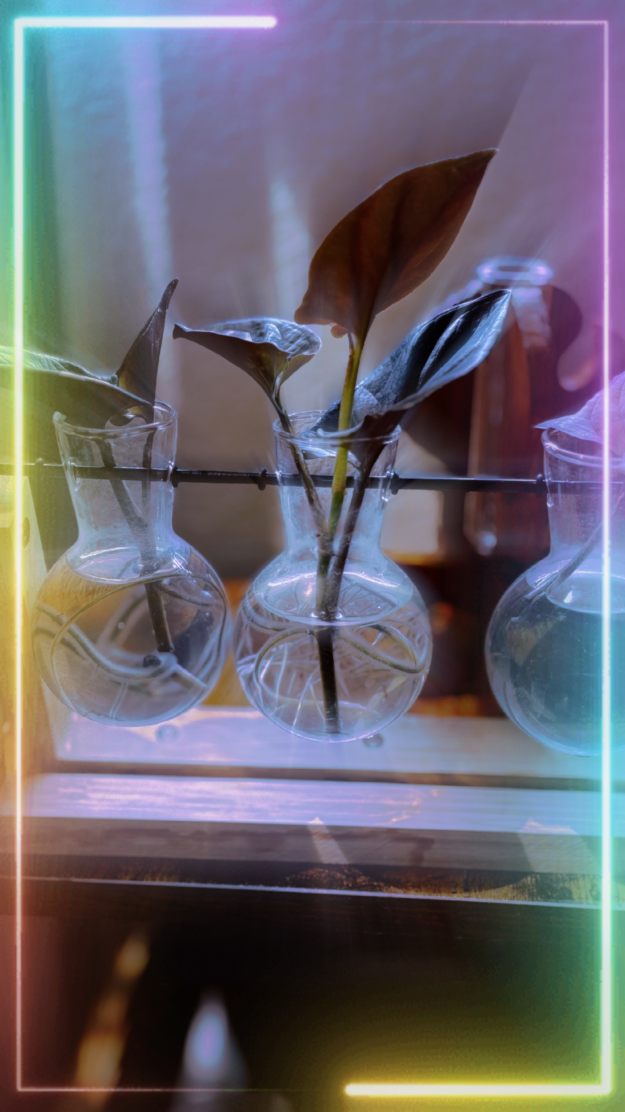 Dancing Lights💡🕯️