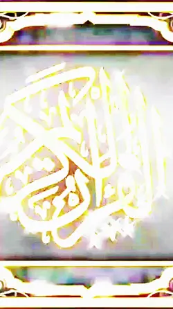 mnaparadiseminikitch