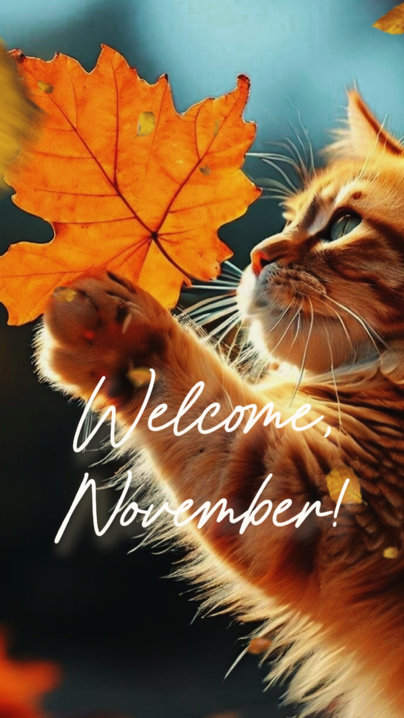 november 2025