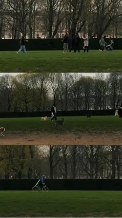 Parc cinquantenaire