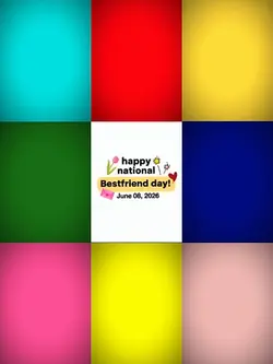 nationalbsfday