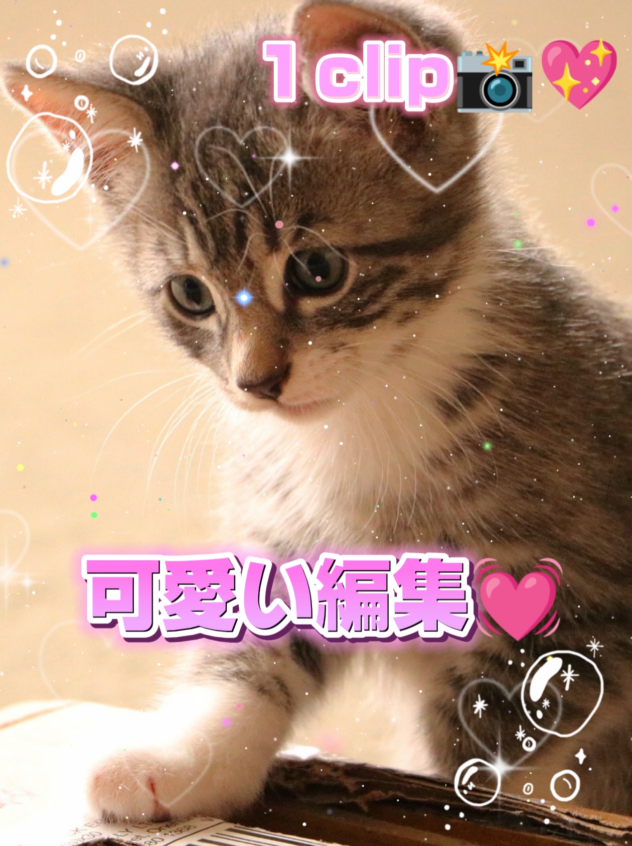 1Clip / ￫ ￫ ￫