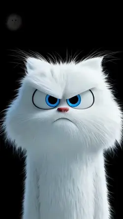 Angry cat