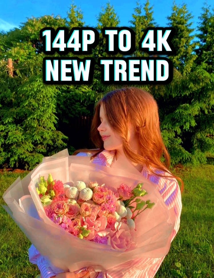 144p Vs 4k Trend
