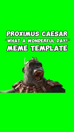 WHAT A WONDERFUL DAY