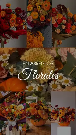 Floreria